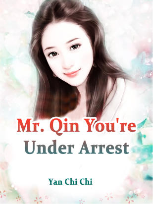 Mr. Qin, You're Under Arrest